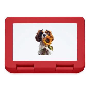 Cavalier King Charles - Brotdose - Rot - Vorne