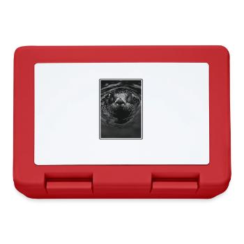 Sea otter - Lunchbox - red - Front