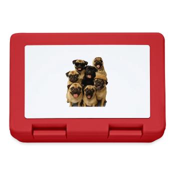 Mops - Brotdose - Rot - Vorne