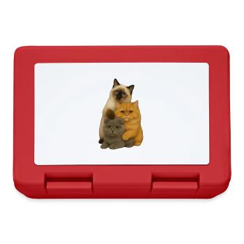 Pli persan birman - Boîte à goûter - rouge - Devant