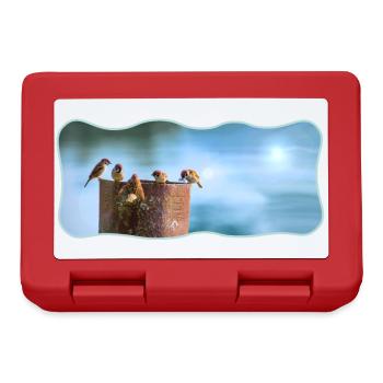 Fotodesign Spatzen-Meeting geschwungen umrandet - Brotdose - Rot - Vorne