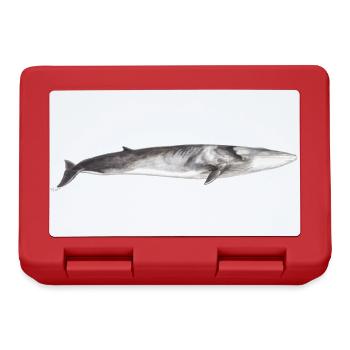 Rorqual commun Balaenoptera physalus - Boîte à goûter - rouge - Devant