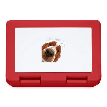 Curious Welsh Springer Spaniel Dog - Lunchbox - red - Front