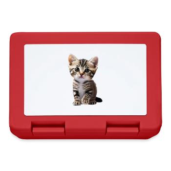 Cute young cat waiting for cuddles - Lunchbox - red - Front