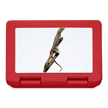 Little lizard wants to go up high - Lunchbox - red - Front