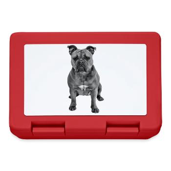 Bouledogue Vieux Bouledogue Anglais Chien Chiens - Boîte à goûter - rouge - Devant