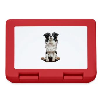 Border Collie - Lunchbox - red - Front