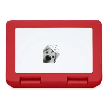 Curious Alaskan Malamute Dog - Lunchbox - red - Front