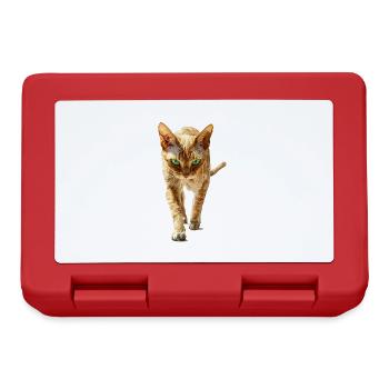 Devon Rex - Brotdose - Rot - Vorne