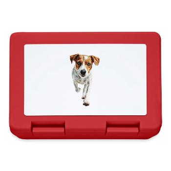 Jack Russell Terrier - Brotdose - Rot - Vorne