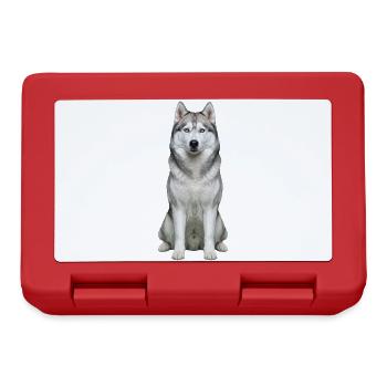 Eises, husky-blauäugiges Porträt - Brotdose - Rot - Vorne