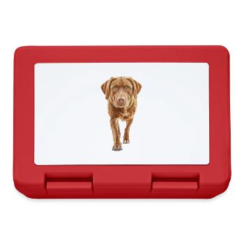 Labrador Retriever - Brotdose - Rot - Vorne
