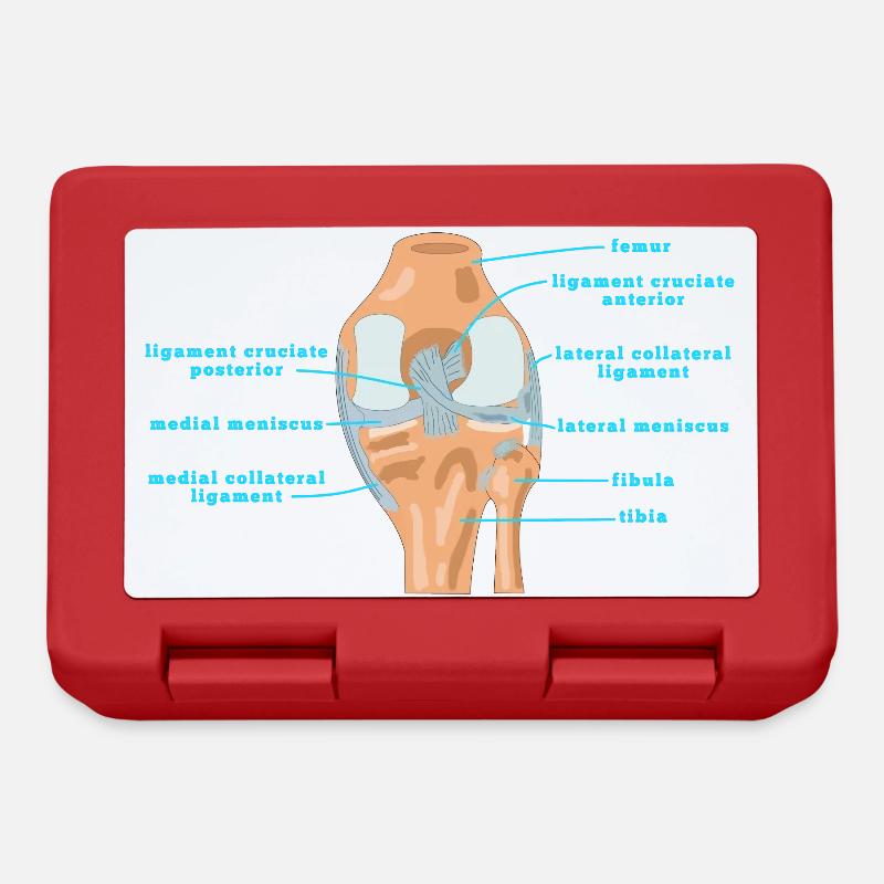 Physio Knie Anatomie Kreuzband Meniskus - Brotdose - Rot