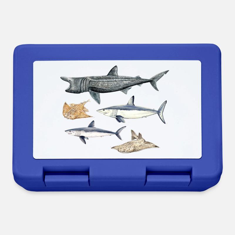 Requins - Requins - Requins - Boîte à goûter - bleu royal