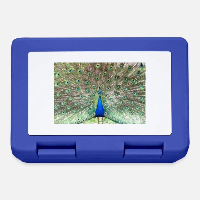Peacock - Boîte à goûter - bleu royal