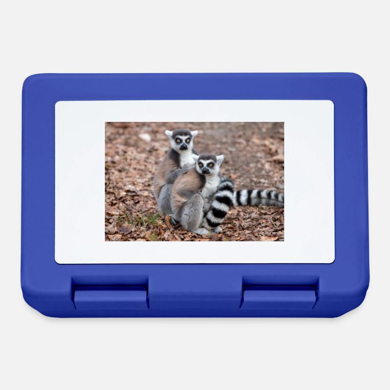 Kattas Lemur catta - Brotdose - Royalblau
