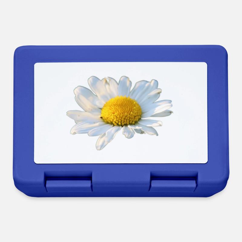 Marguerite fleur blanche Fleur d’oie - Boîte à goûter - bleu royal