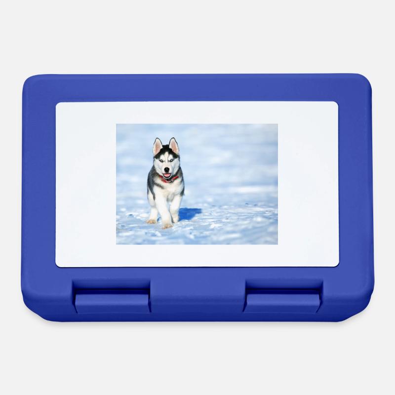 Chiot husky dans la neige - Boîte à goûter - bleu royal