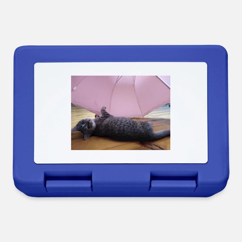chat, cocur, chatte - Boîte à goûter - bleu royal