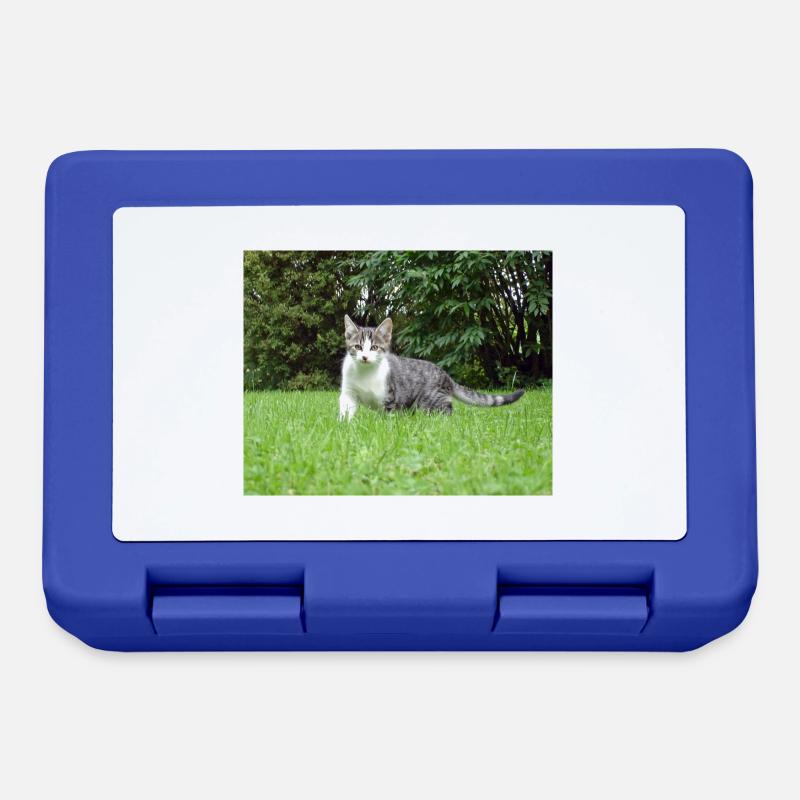 Curious kitten - Lunchbox - royal blue