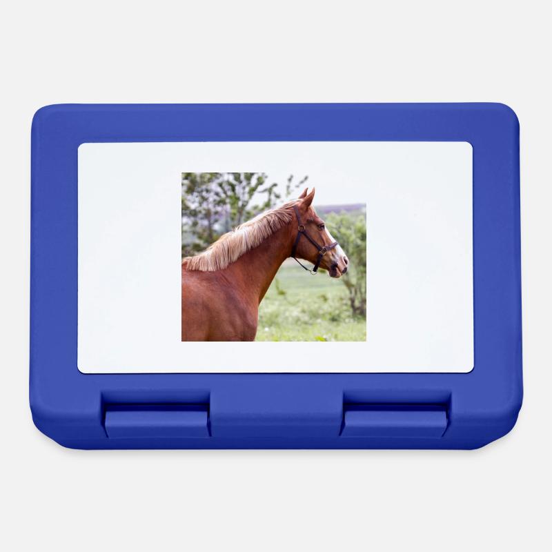 Cheval. Cheval. - Boîte à goûter - bleu royal