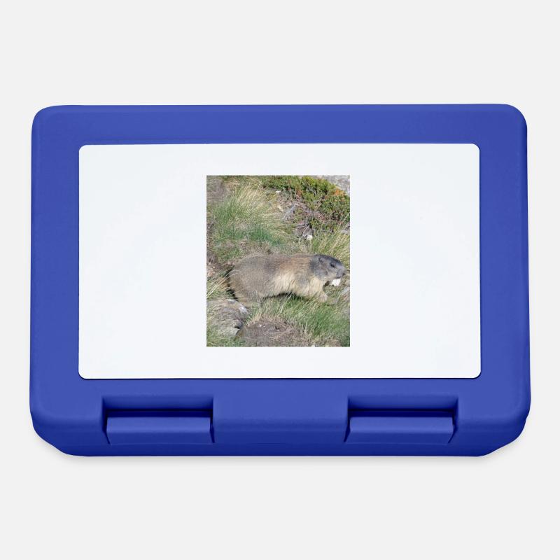 Marmot - Lunchbox - royal blue
