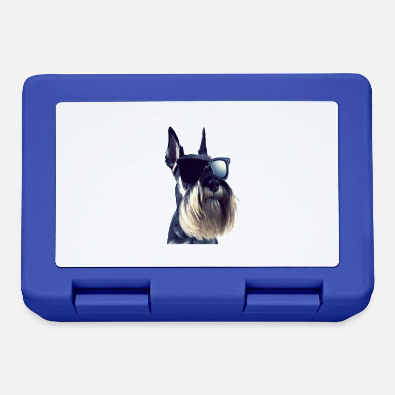 Miniature Schnauzer - Boîte à goûter - bleu royal