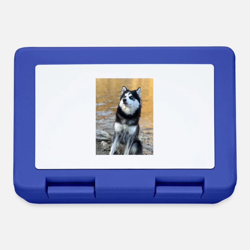Husky - Brotdose - Royalblau