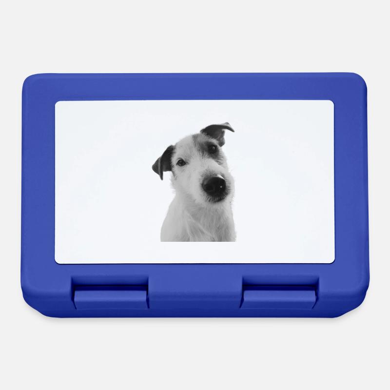 Heurtoir du Jack Russell - Boîte à goûter - bleu royal