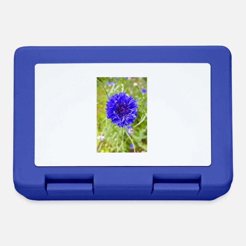 bluebottle also cornflower Kornblume Zyane - Brotdose - Royalblau