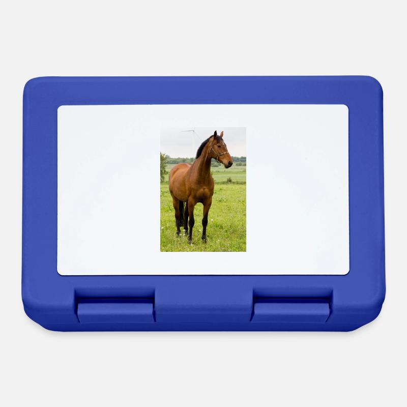 Cheval. Cheval. - Boîte à goûter - bleu royal
