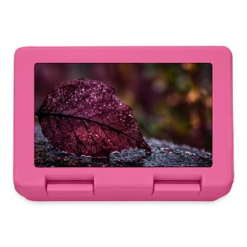 Nachtrotes Taublatt - Brotdose - Pink - Vorne