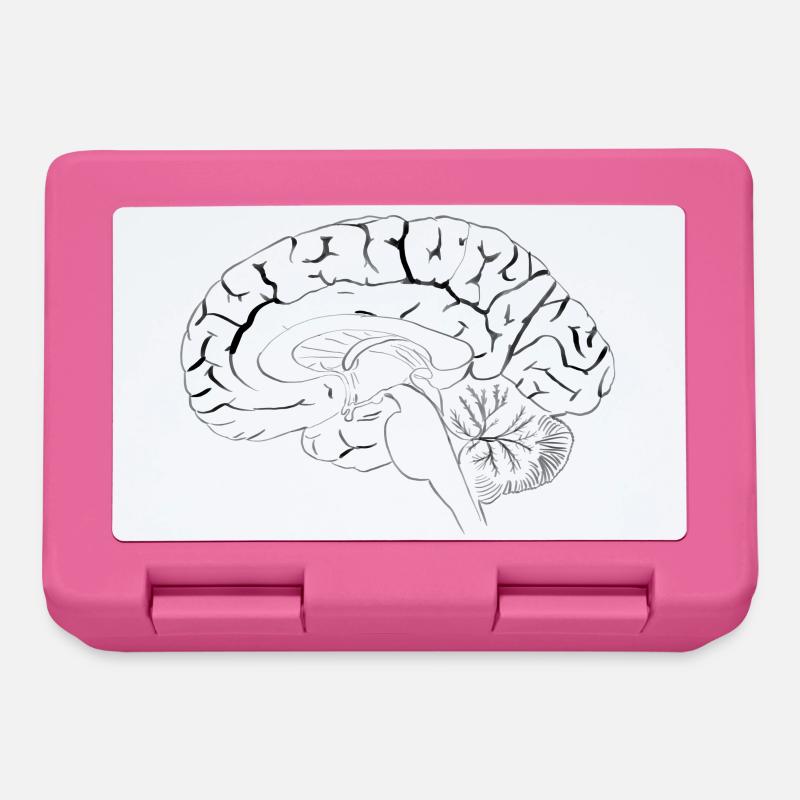 Le cerveau dans la section anatomique - Boîte à goûter - rose