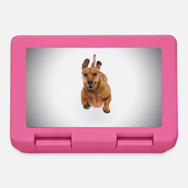 Brauner Dackel - Brotdose - Pink