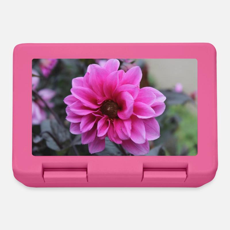 Dahlie pink rosa Blüte ,Blume - Brotdose - Pink