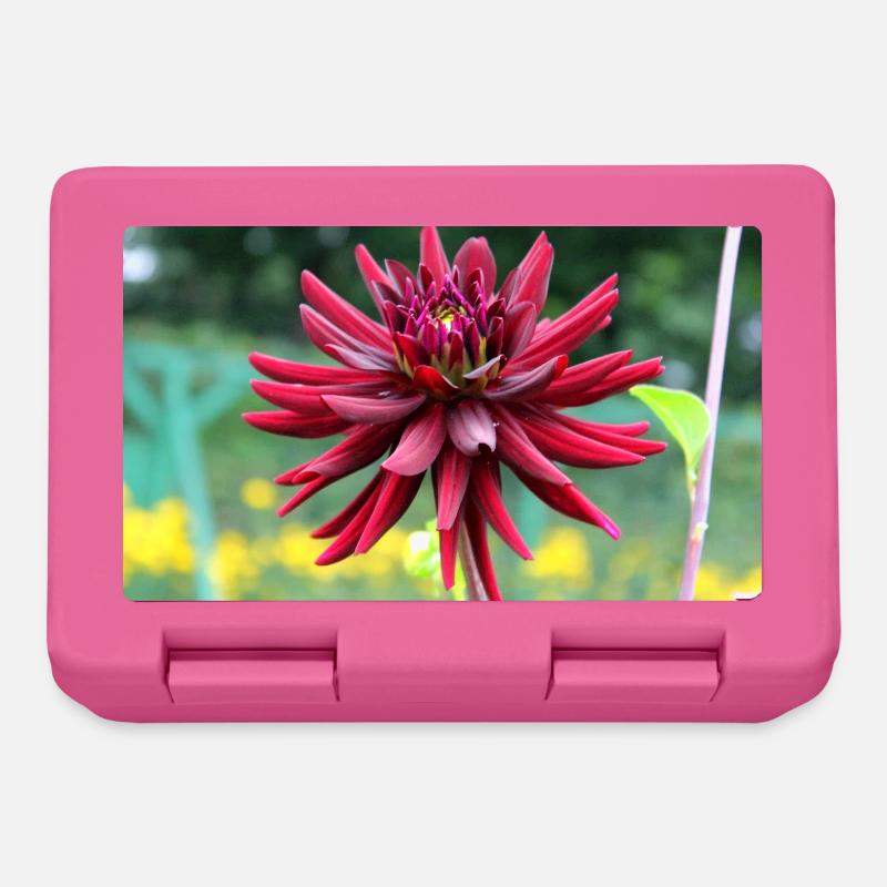 Blume rot rote Blume - Brotdose - Pink