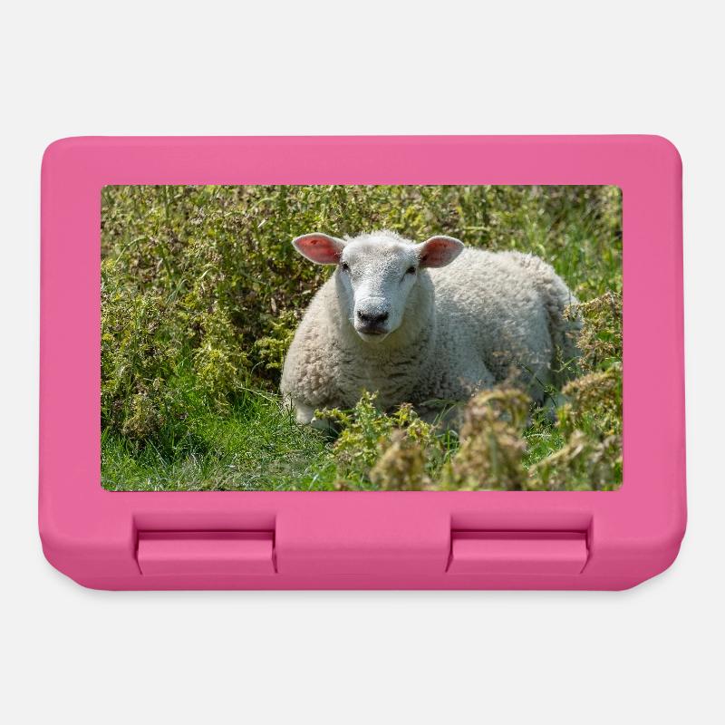 Moutons allongés dans l’herbe - Affiche - Boîte à goûter - rose