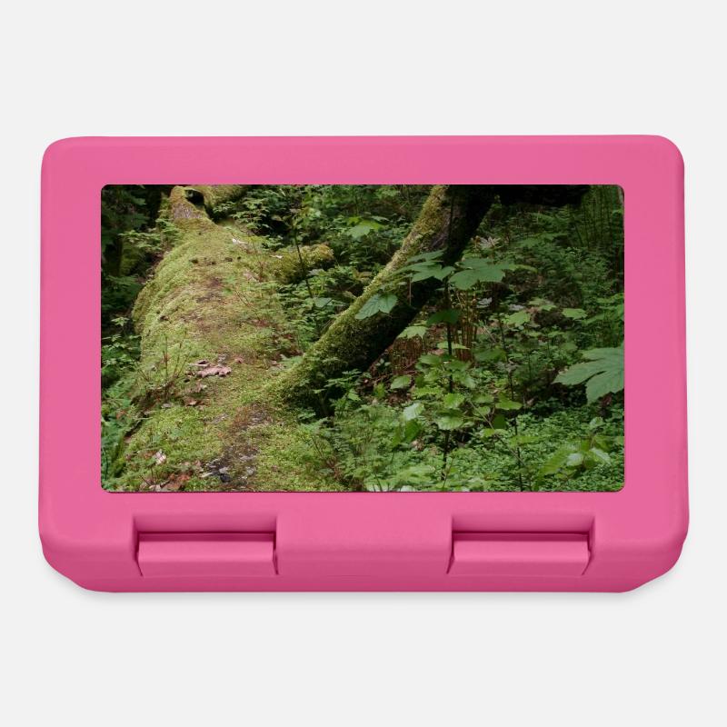 Tronc d’arbre moussu / Nord de la Forêt-Noire Monbachtal - Boîte à goûter - rose