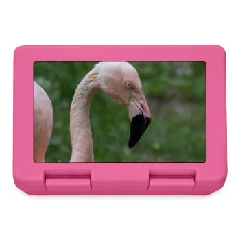 Nahaufnahme eines rosa Flamingos vor Grün - Brotdose - Pink - Vorne
