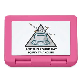 Round Hat Flies Triangles V3 - Lunchbox - pink - Front