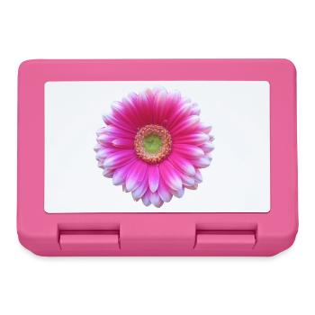 Gerbera pink Blüte Blume Blumenranke floral blumig - Brotdose - Pink - Vorne