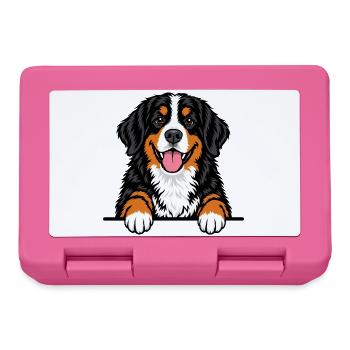 Berner Sennenhund - Brotdose - Pink - Vorne