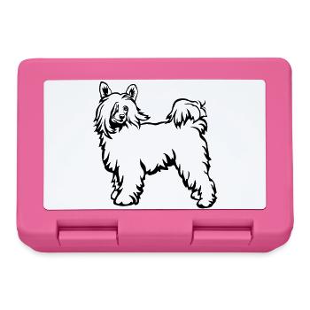 Chinese Crested Powderpuff - Brotdose - Pink - Vorne