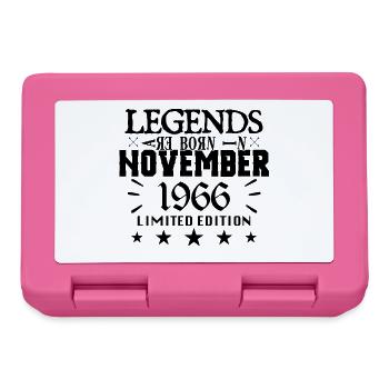 November 1966 | 1966 legends were born in November - Boîte à goûter - rose - Devant
