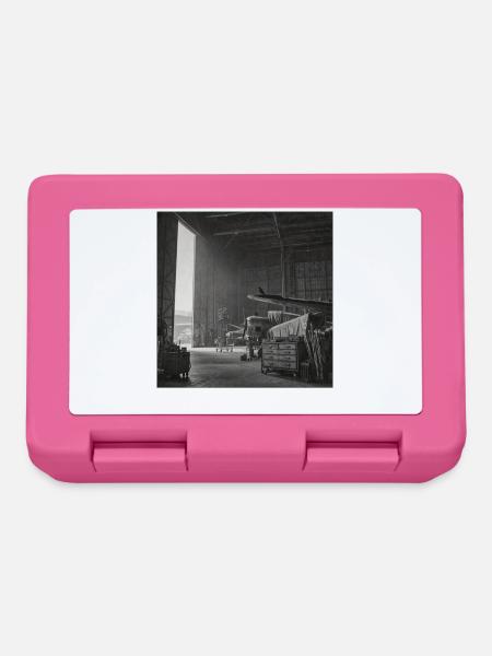 Rabe auf Flugzeug Lost Place Vintage Animal Crime - Brotdose - Pink