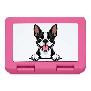 Boston Terrier - Brotdose - Pink - Vorne