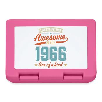 Génial depuis 1966 - Boîte à goûter - rose - Devant