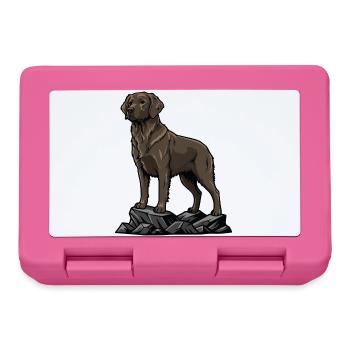 Chocolate Labrador Dog on Rock Brown Portrait - Lunchbox - pink - Front