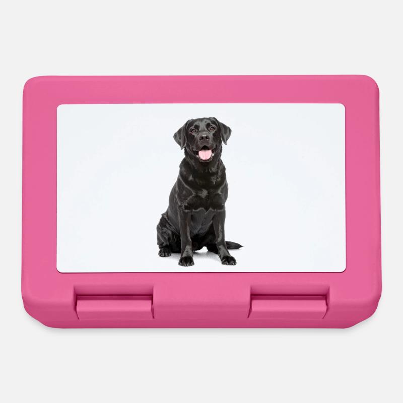 Schwarzer Labrador – Loyal, liebenswert & Charmant - Brotdose - Pink