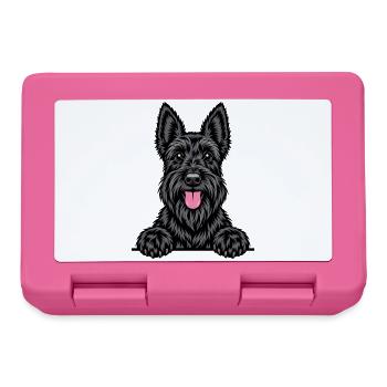 Scottish Terrier - Brotdose - Pink - Vorne